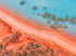 Broome, Kimberley, WA. Aerial photography print by Salty Wings, landscape (SW2151)