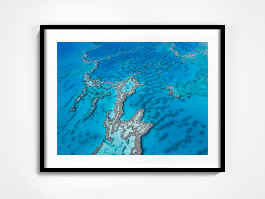 SW0369 - Great Barrier Reef