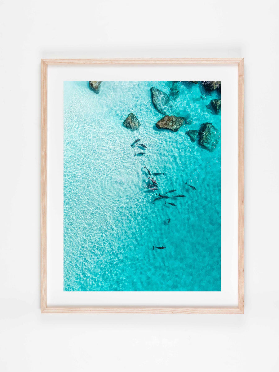 Dingoes Beach Albany Shop Australian Coastal Photography Prints