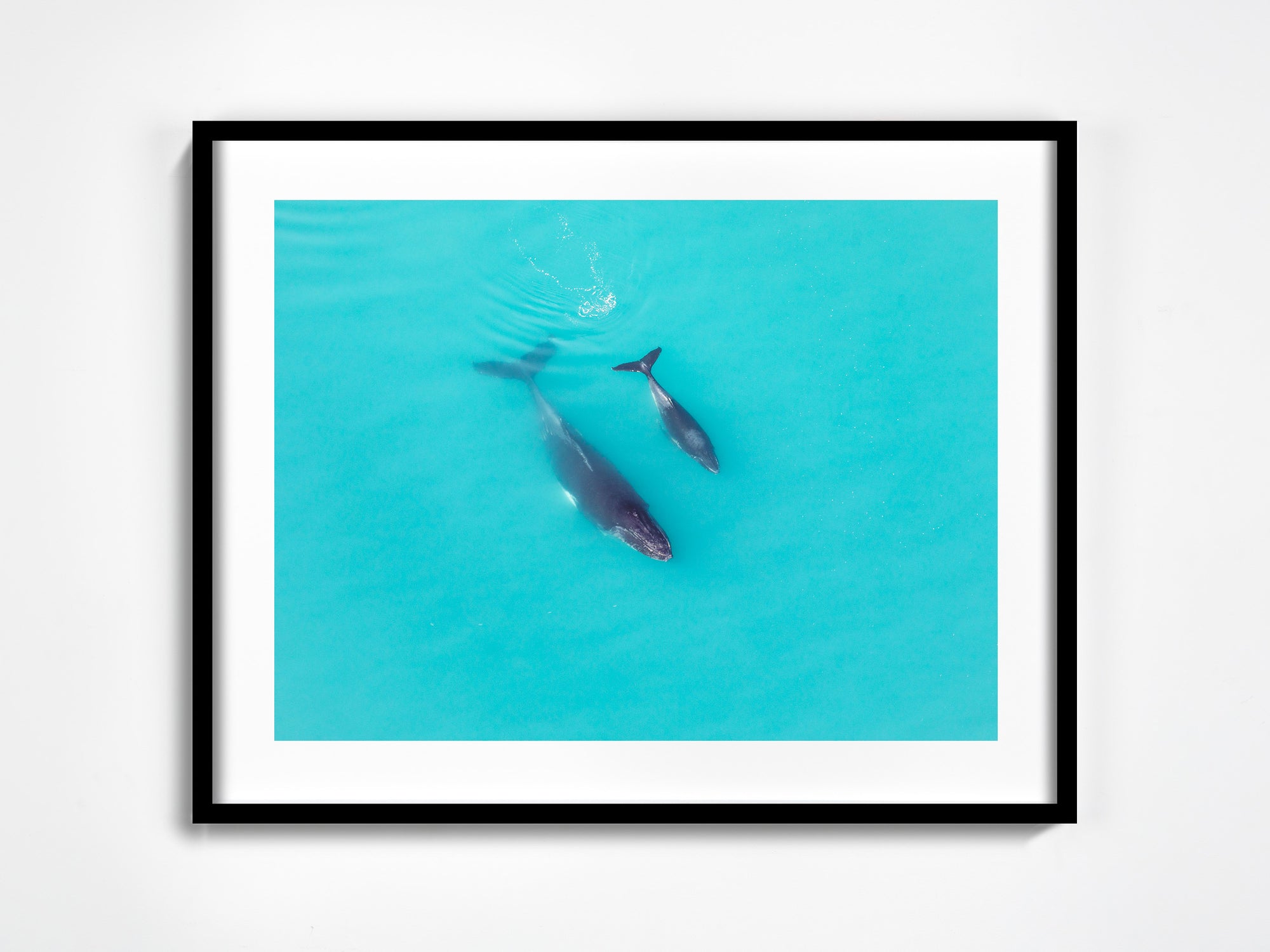 SW0730 - Dampier Archipelago