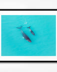SW0730 - Dampier Archipelago